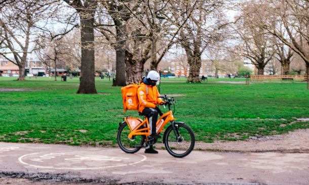 Did You Read The Deck 84 Inspection Report?