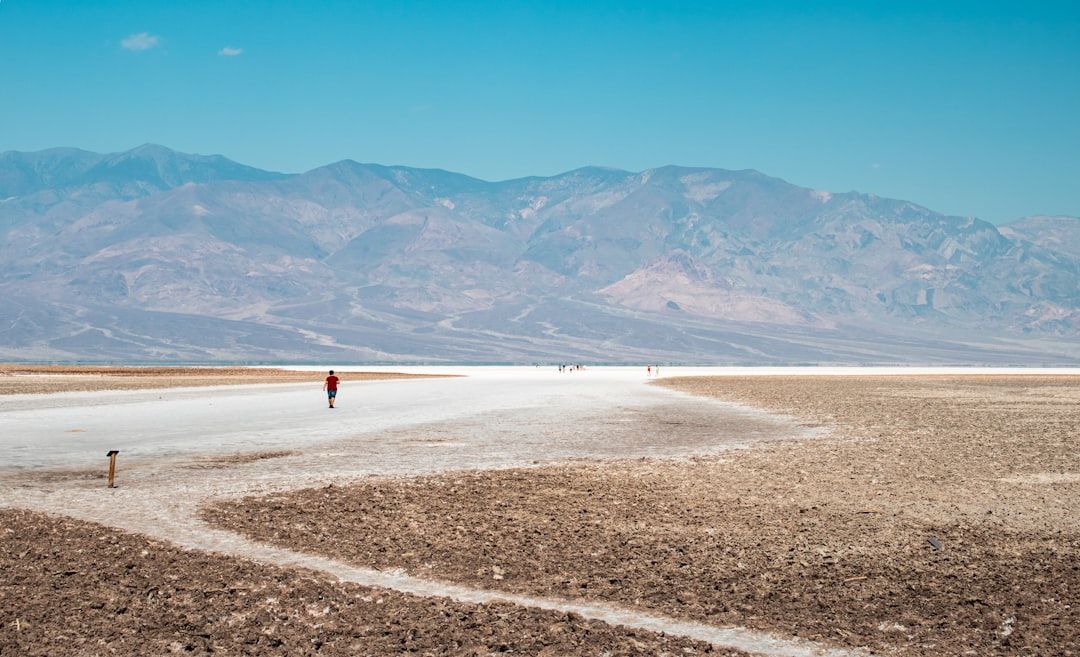 Another Bagel Place Ordered Shut in Boca Raton After Insects Found
