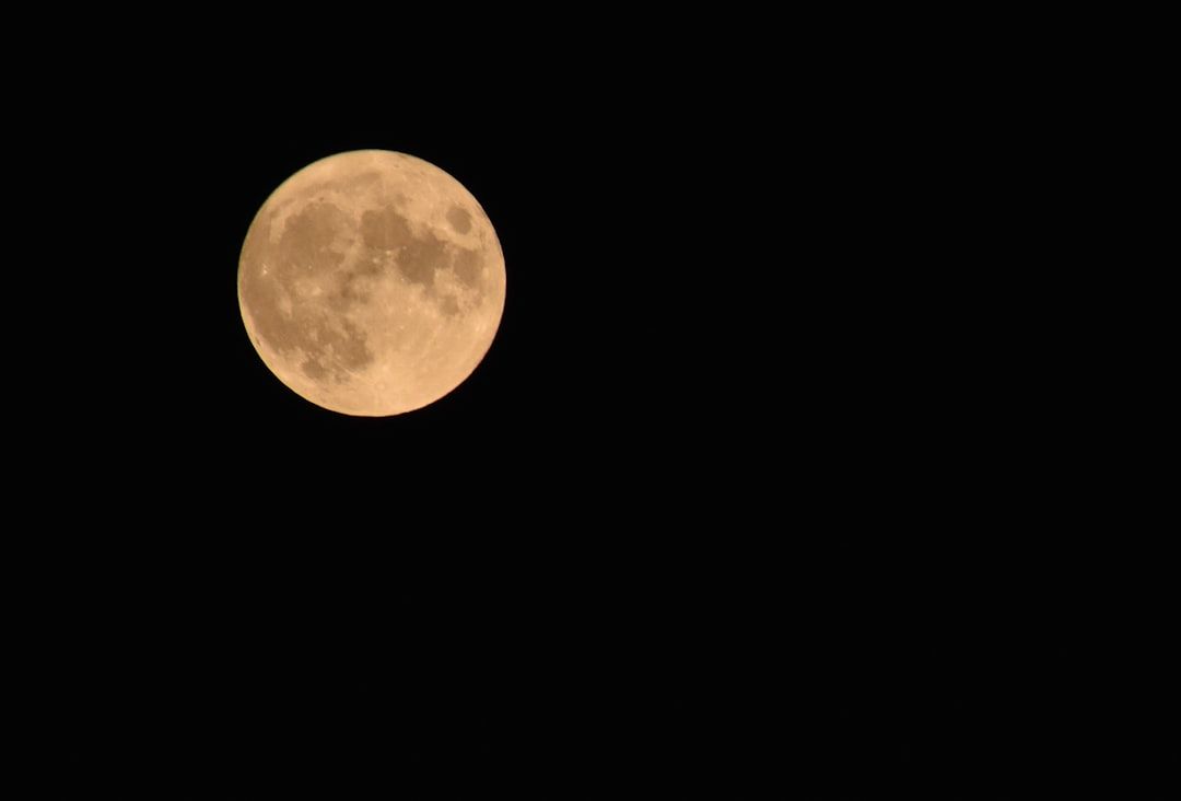 Columbus Day: Here’s What Open, Closed, Rescheduled in Boca Raton