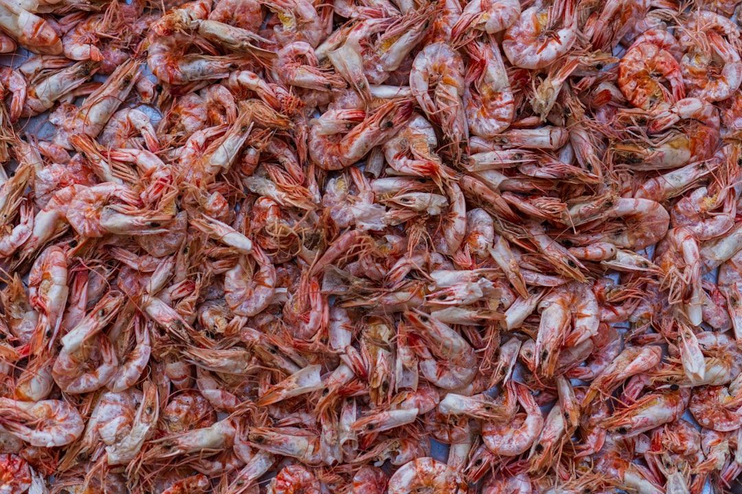 Boca's Best Fried Rice: National Day Feast!