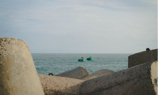 BOCA RUDETON: Dogs On Planes, Dogs At Disgusting Boca Town Center Mall