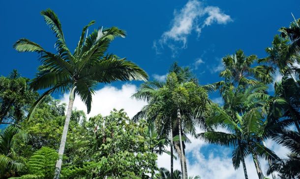 Tropical Storm Imelda Brings Rough Surf to Boca Raton, Boynton Inlet