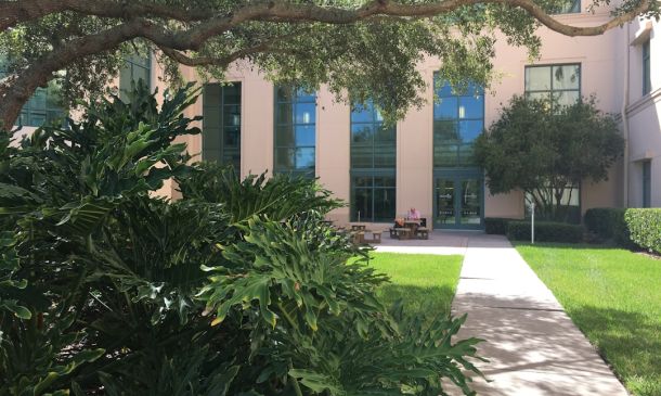 FAU Professor on Leave: Social Media Fallout