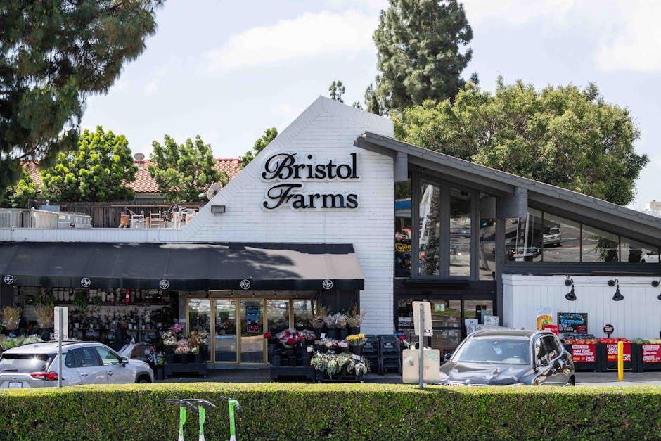 Mizner Park Whole Foods – 2 Practical Boca Raton's Best New Grocery: Whole Foods Opens!