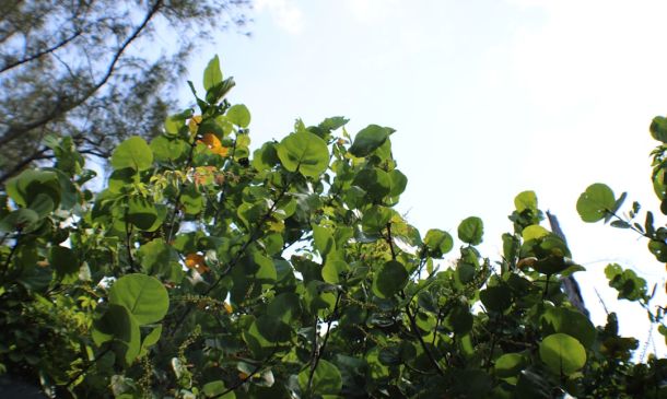 FLORIDA TURNPIKE TRAFFIC ALERT: Closures Over Next Several Days