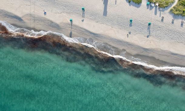 Palm Beach County Car Insurance Enforcement Sweep Yields 113 Citations, Warnings