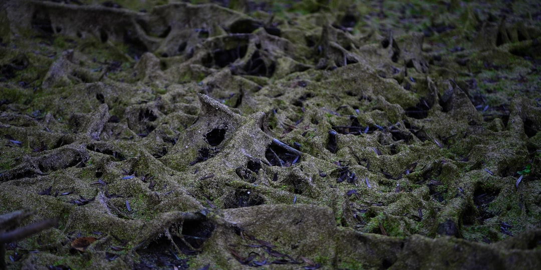 Artificial Islands of ‘Bonefish Cove’ in ICW Taking Shape, Completion Expected Next Winter 2 Artificial Islands of ‘Bonefish Cove’ in ICW Taking Shape, Completion Expected Next Winter
