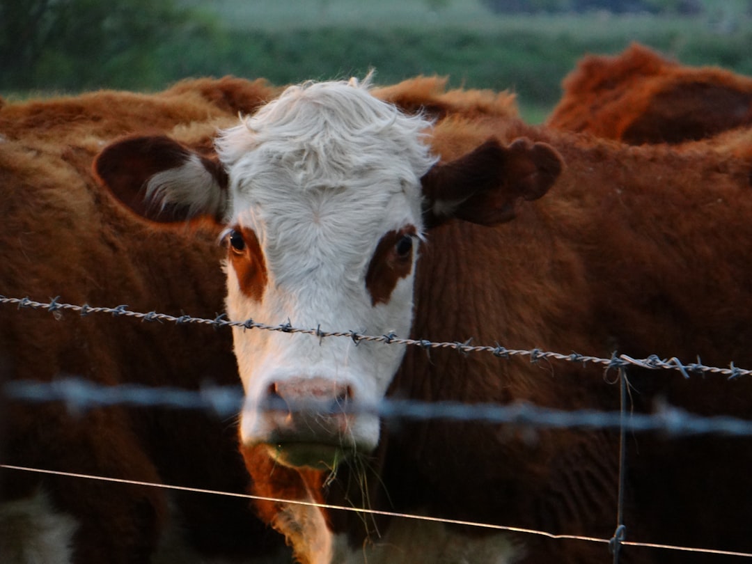Authorities Identify Man Killed in Boca Raton Police Shooting; Previously Charged With Assaulting Cops