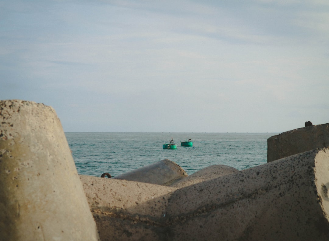 BOCA RUDETON: Dogs On Planes, Dogs At Disgusting Boca Town Center Mall 2 BOCA RUDETON: Dogs On Planes, Dogs At Disgusting Boca Town Center Mall