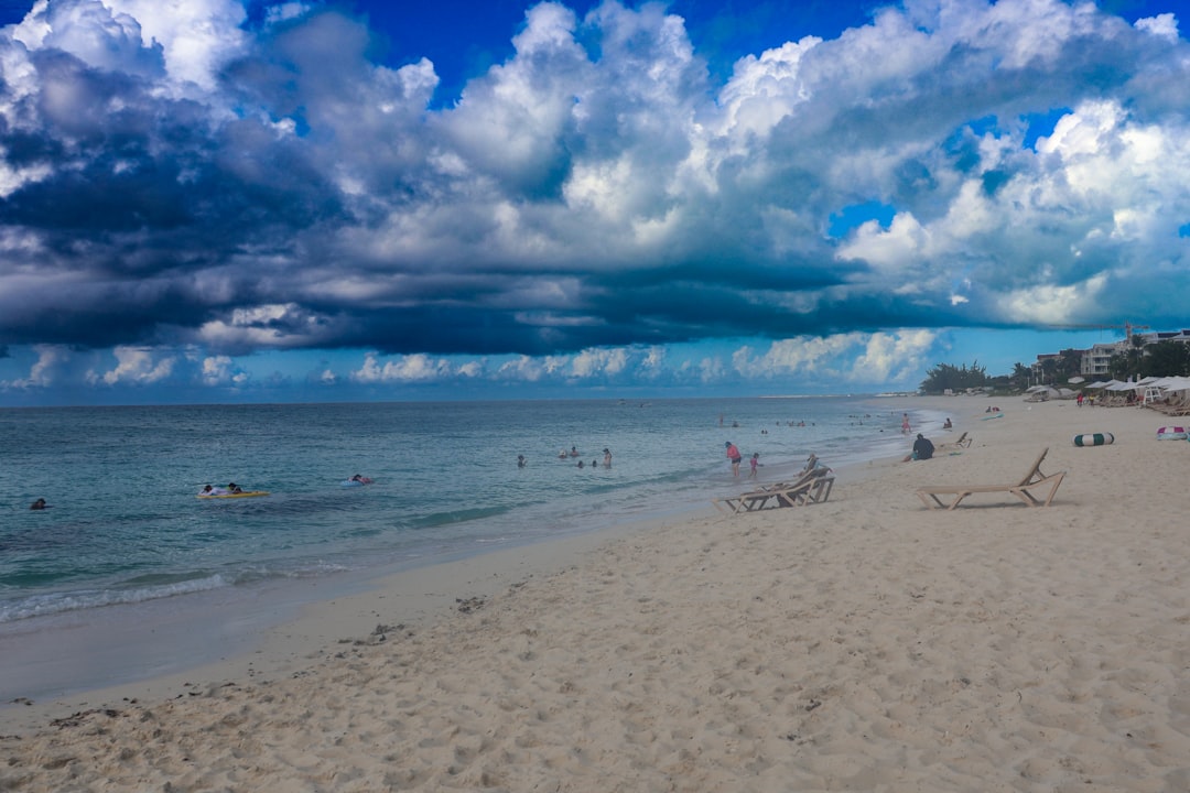 Boca Raton Startup: Predicting Tides with AI