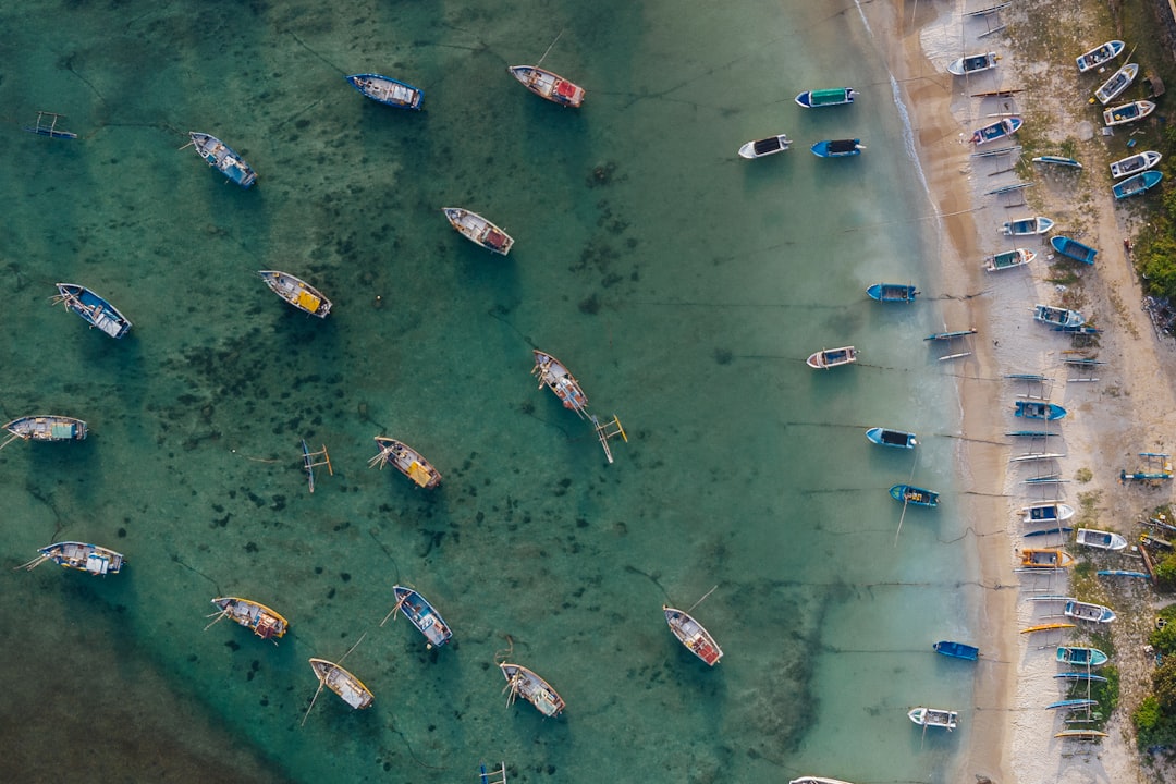 Boca Bash 2025: Lake Boca's Viral Boat Party