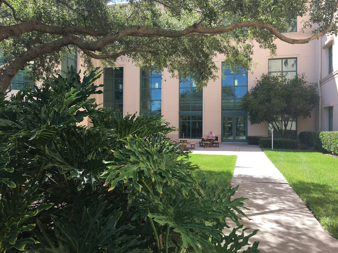 FAU Professor on Leave: Social Media Fallout