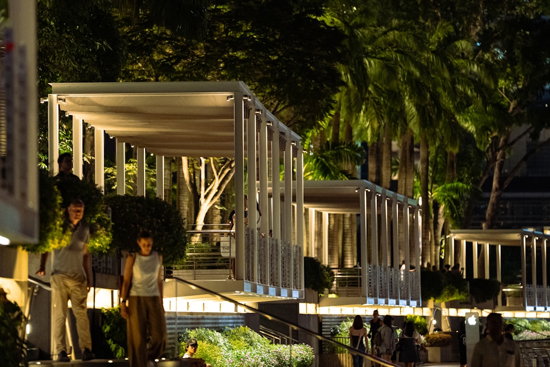 Boca Raton's Artistic Oasis: Silver Palm Park