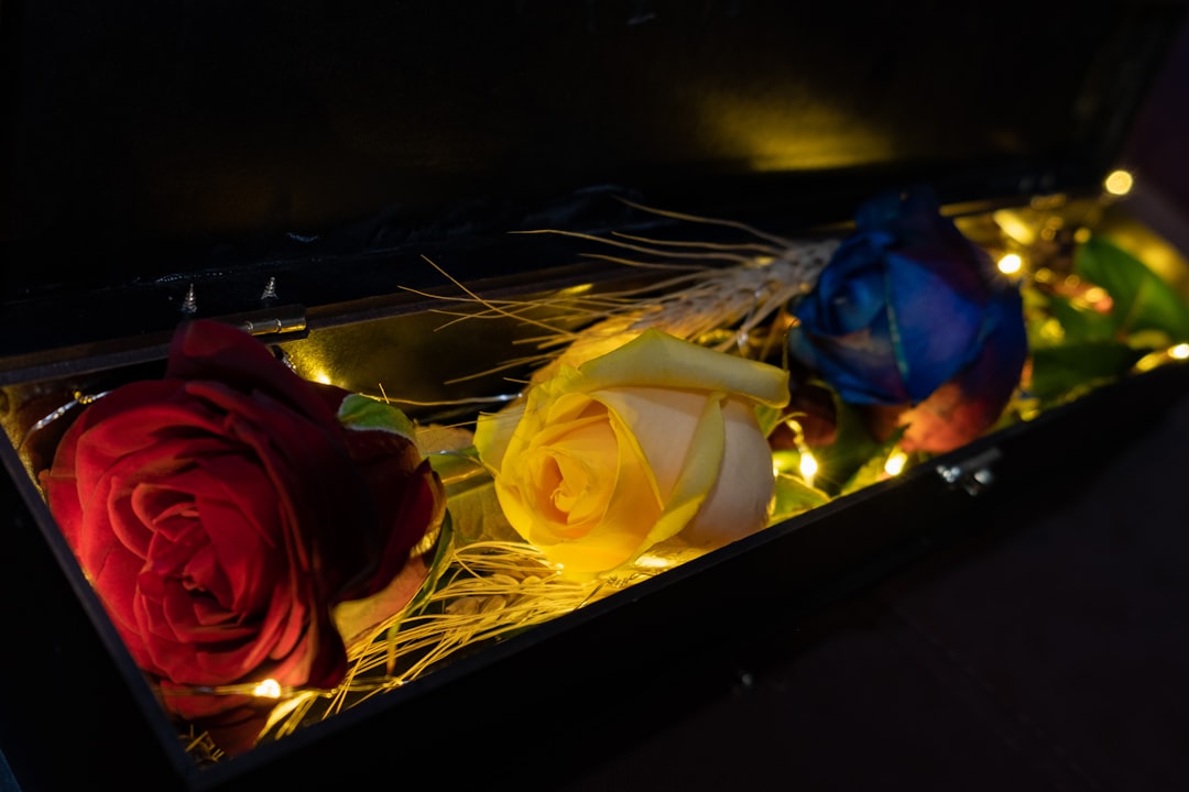 Boca Raton Roots: A Life Well-Lived