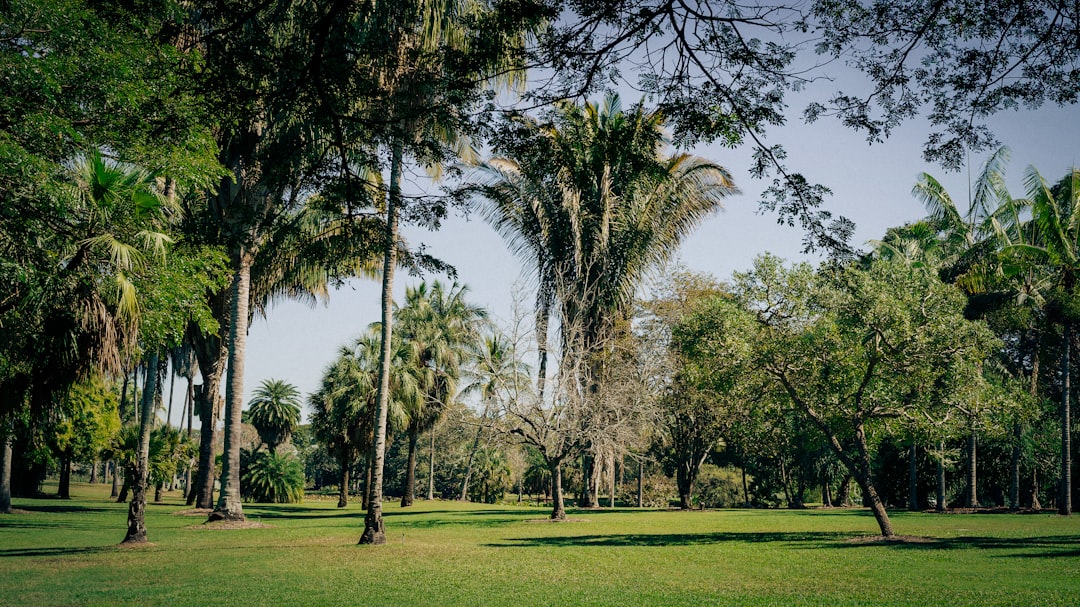 Boca Raton Sunset Polo: Tradition & Philanthropy
