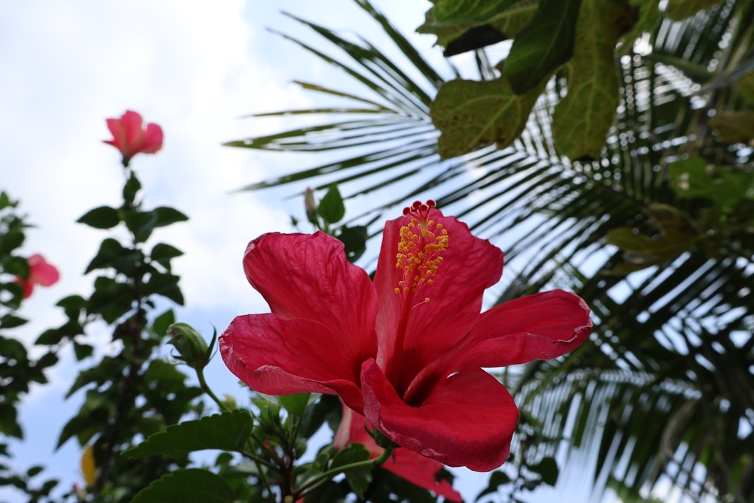 Boca Raton's Perfect Sunday