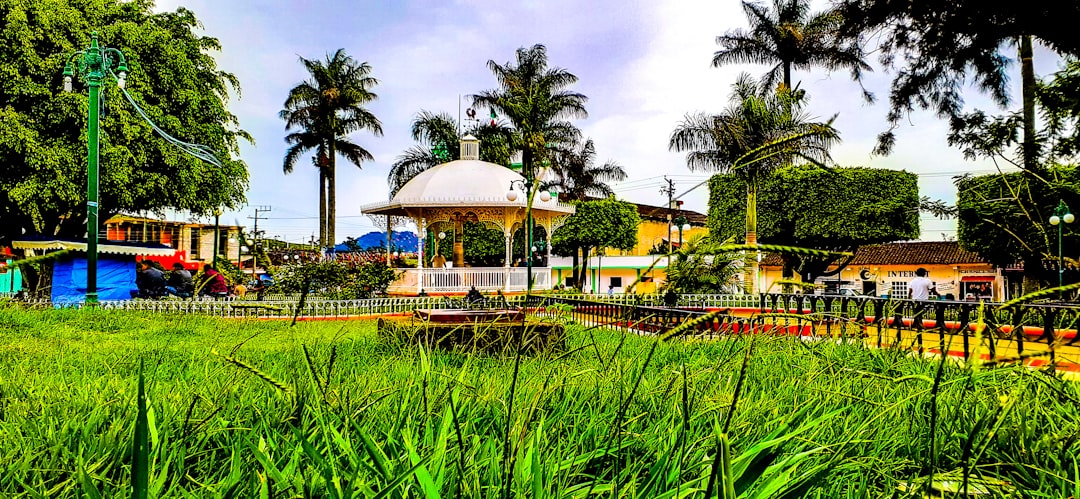 Boca Raton's Wildflower Park: A Stunning Transformation