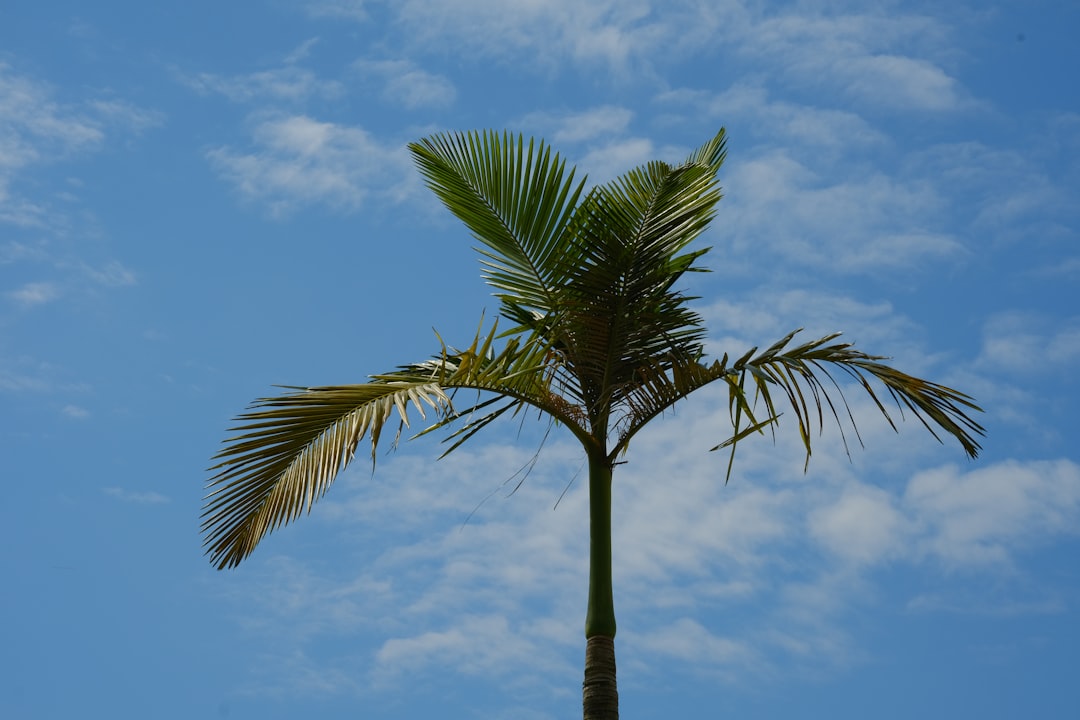 Boca Raton: Storms Likely Today