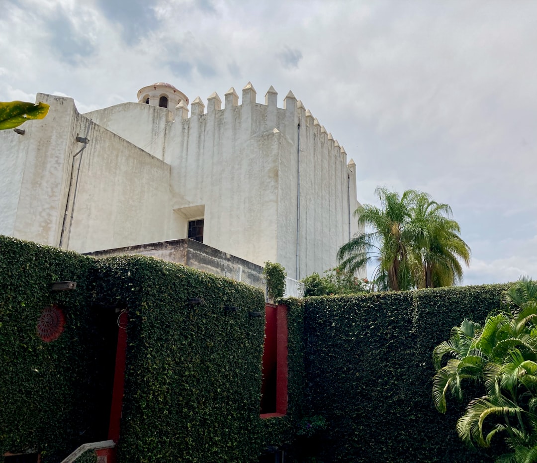 Boca Raton's $20M Mansion: A Glimpse Inside