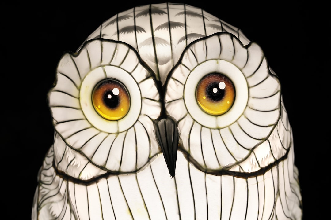 FAU Owls Soar in NFL Week 2