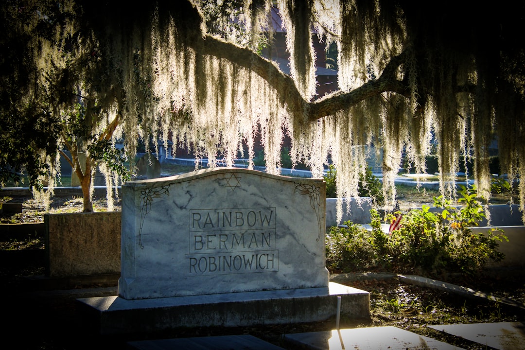 Remembering Donald Burkle: A Boca Raton Legacy