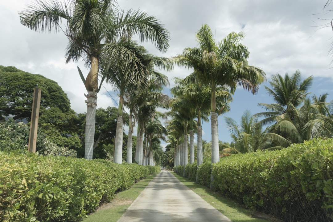 Boca Raton: Luxury, History & Architectural Gems