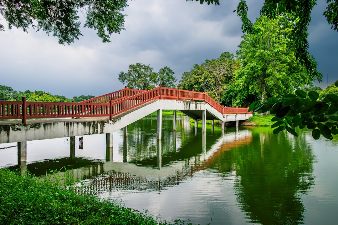 15 Homes, 15 Years: A Boca Raton Success Story