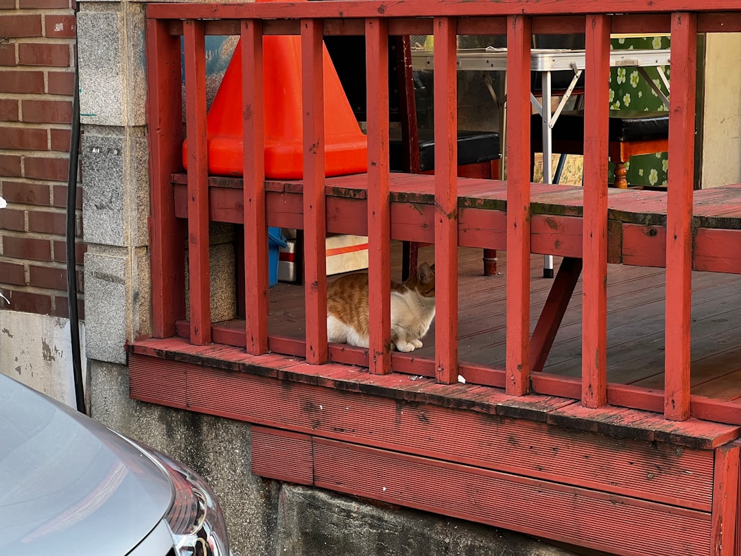 Boca Raton Child Safety Incident: Woman Arrested