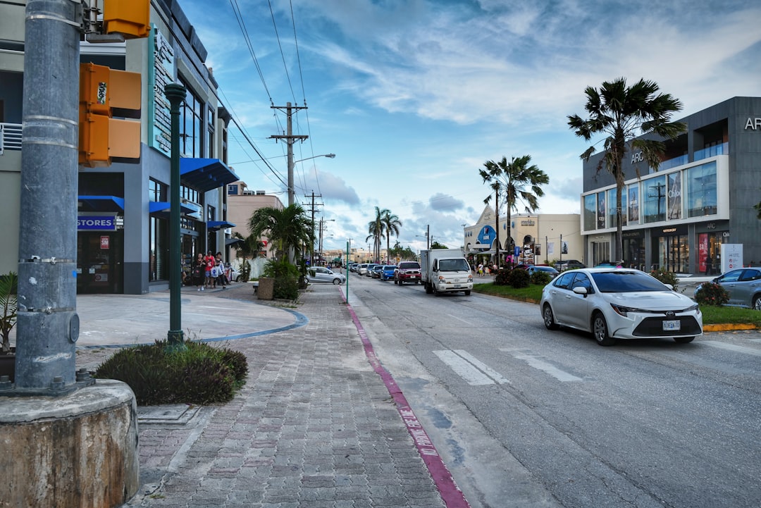 Palm Beach County Launches New Transportation Portal