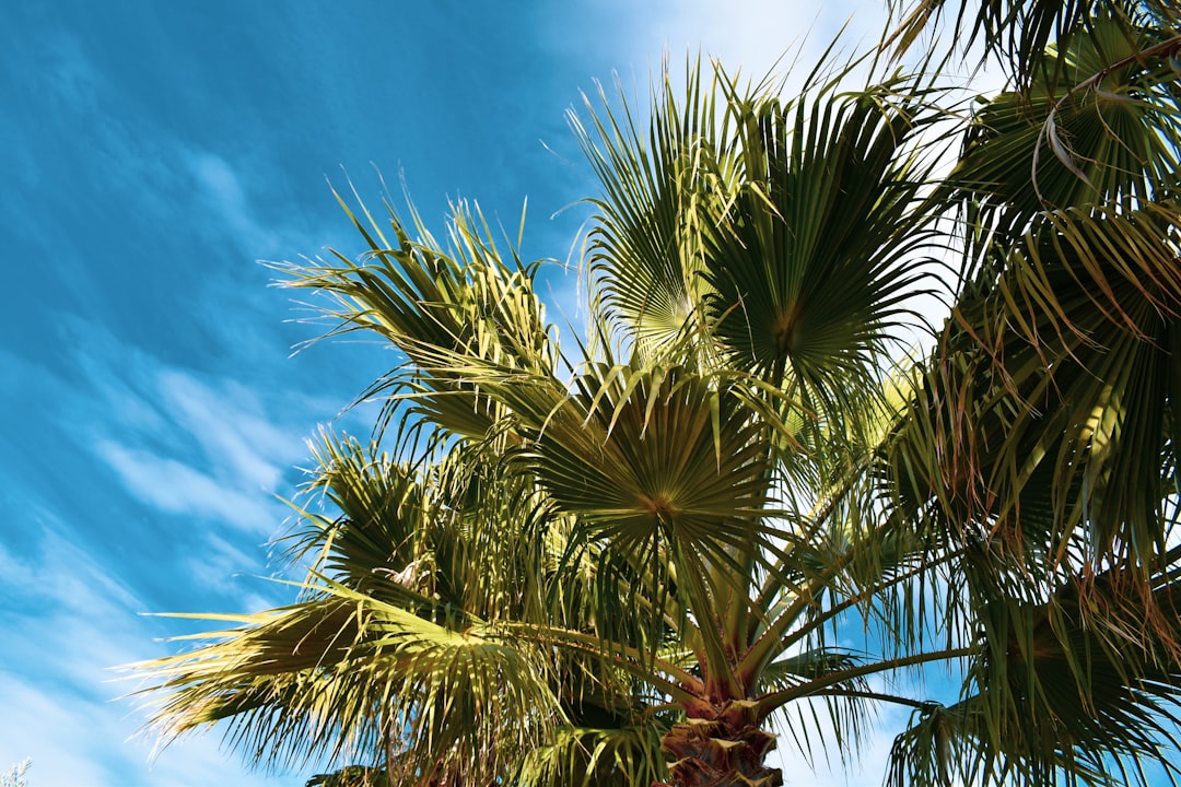 Boca Raton Weekend: Sunny & 70s