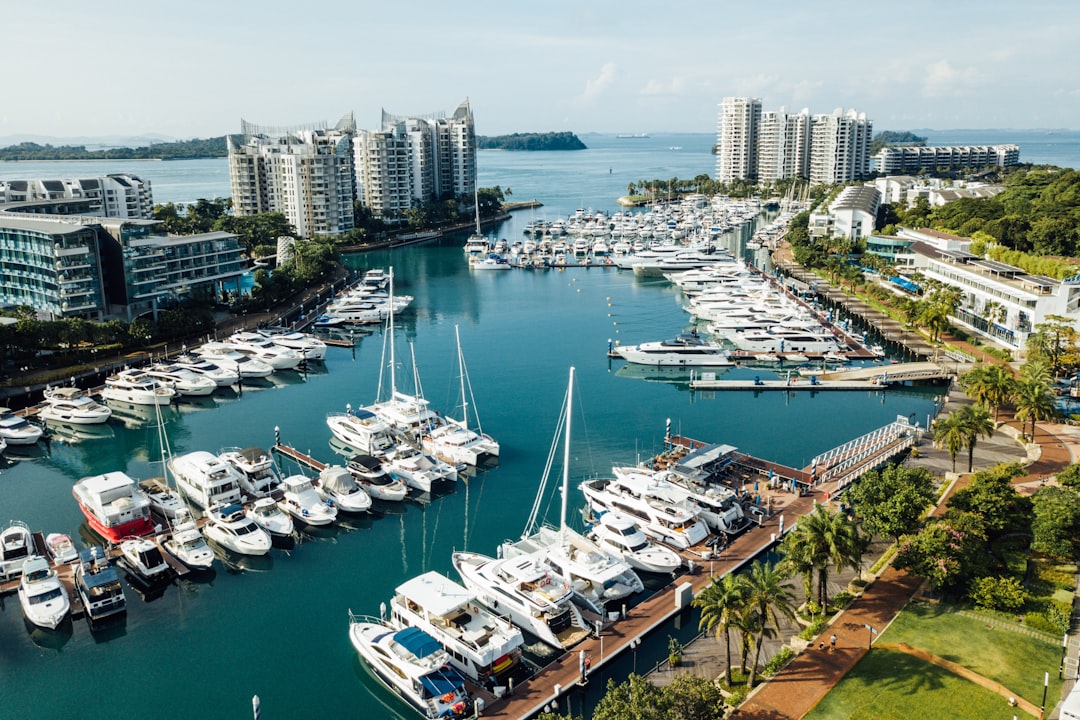 Boca Raton's Cinco de Mayo Fiesta: 2025 Guide