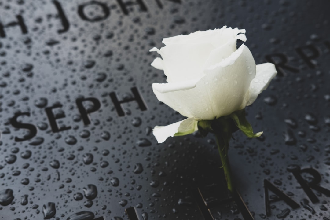 Remembering Norman Dodes: A Life of Impact