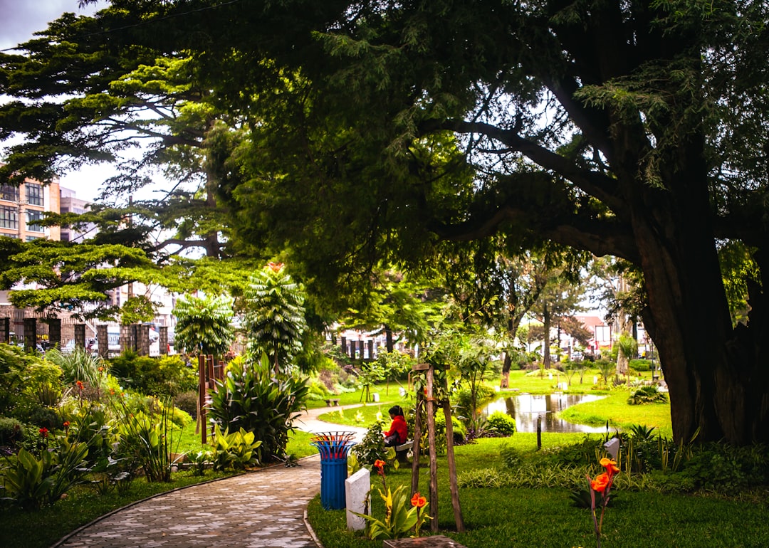 15 Homes, 15 Years: A Partnership Built to Last