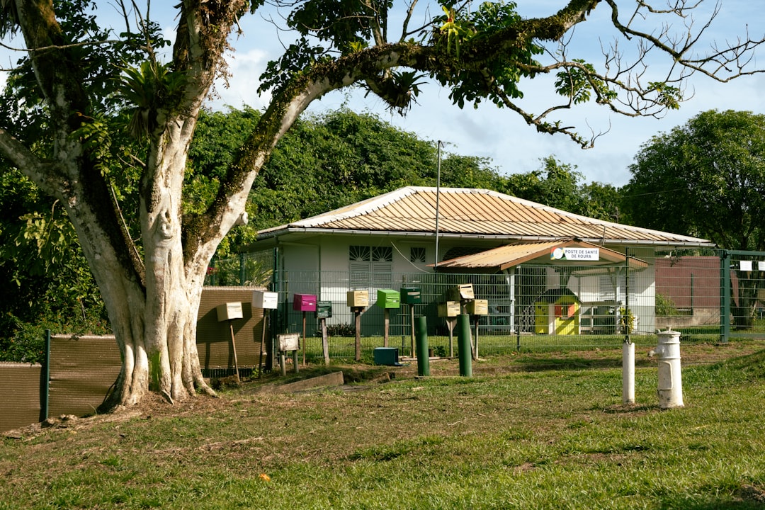 Boca Raton's New Affordable Home Care