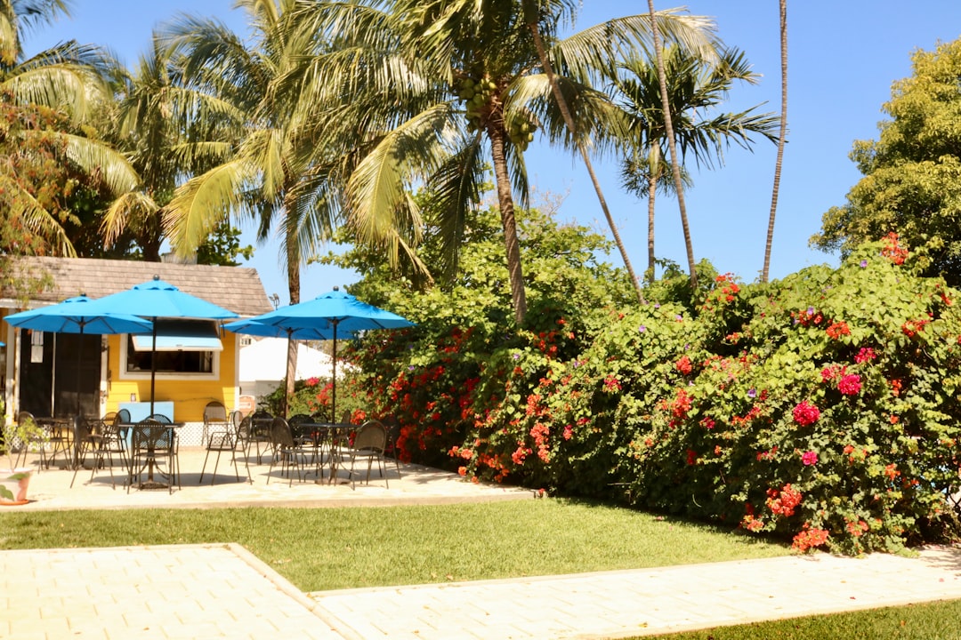 Luxury Living Opens in Boca Raton