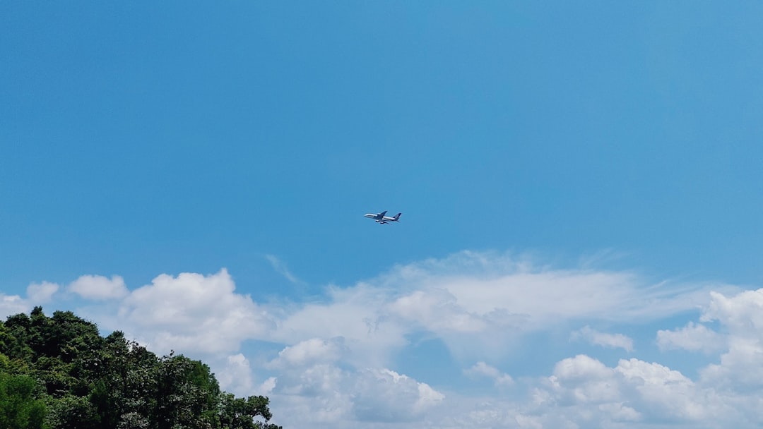 Fatal Plane Crash Near Boca Raton Airport