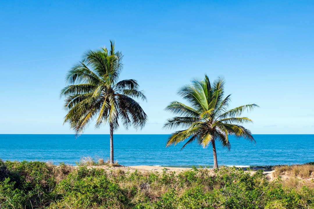 Boca Raton: Nature & City Living Blend