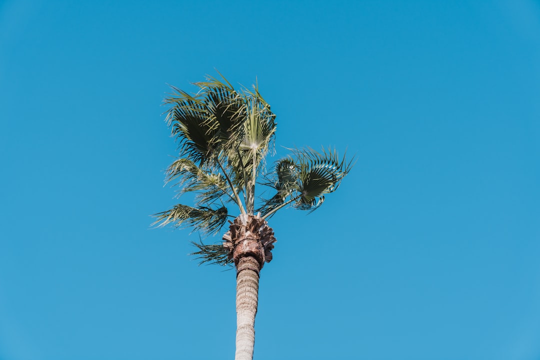 Boca Raton Weather: Today's Forecast & Beach Conditions