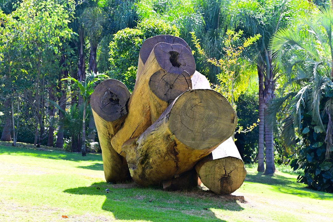 Boca Raton's Sugar Sand Park: An Outdoor Art Museum