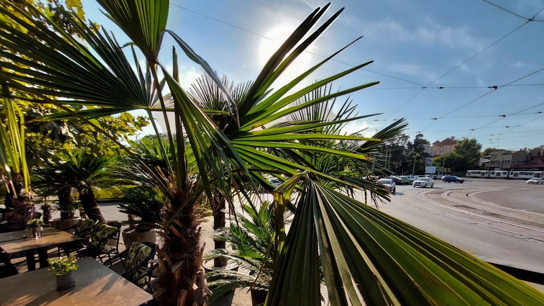 Boca Raton Weekend: Sunny, Breezy & Perfect