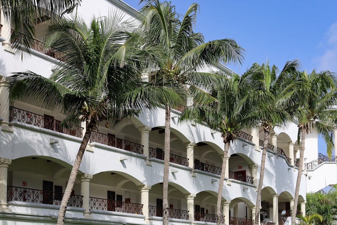 FAU's Record National Merit Scholar Enrollment