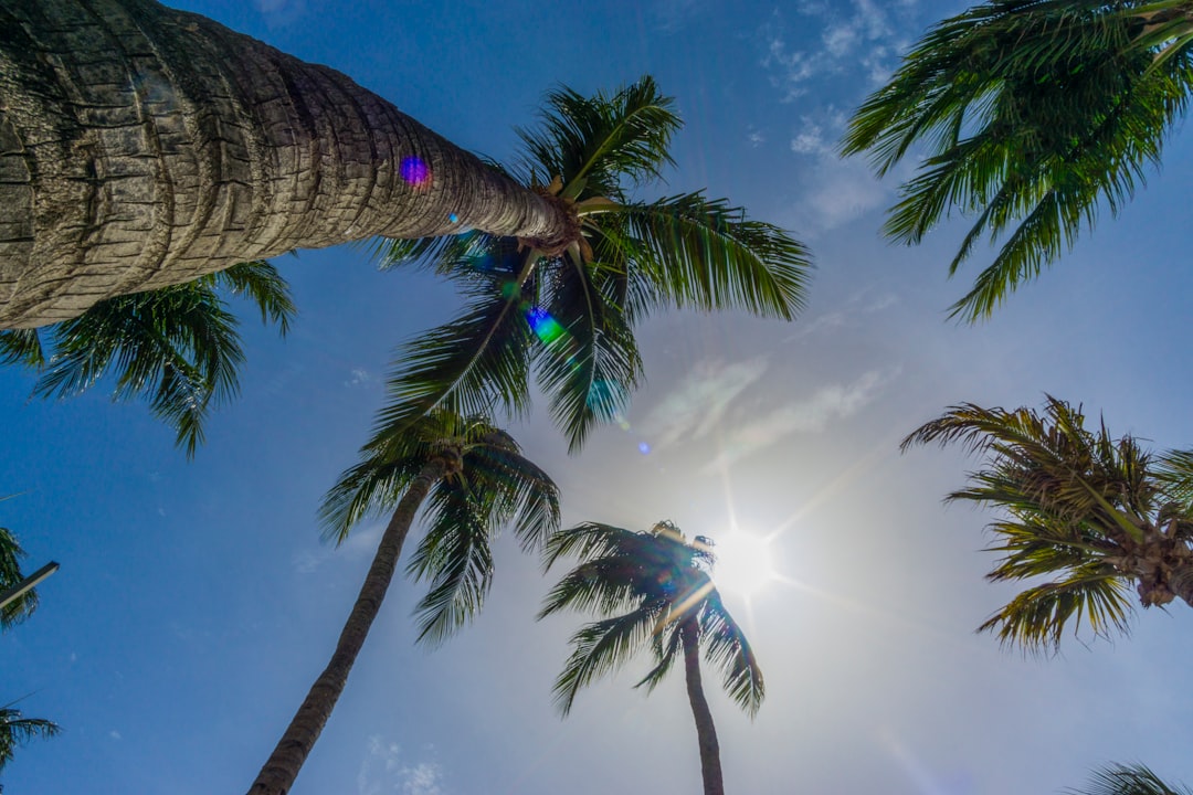 Boca Raton Weather: Sunny Outlook & Seasonal Guide