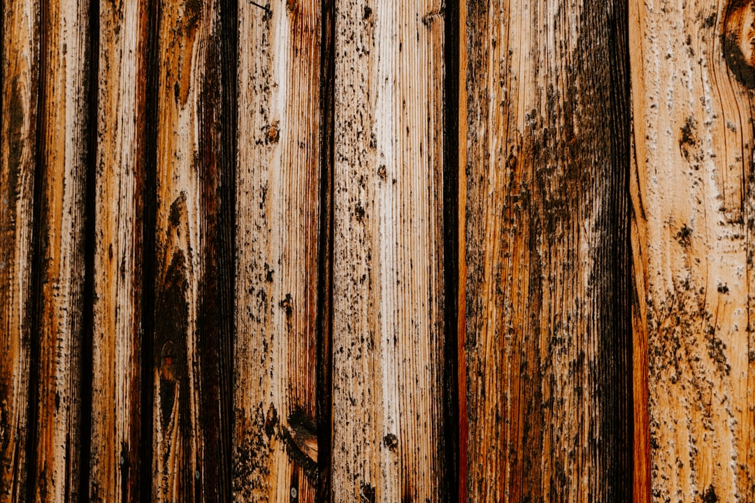 NJ Giants Clash with Florida Champs