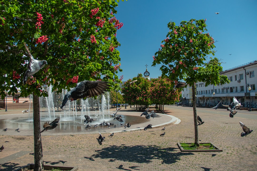 Boca Raton's Artistic Oasis: Sugar Sand Park