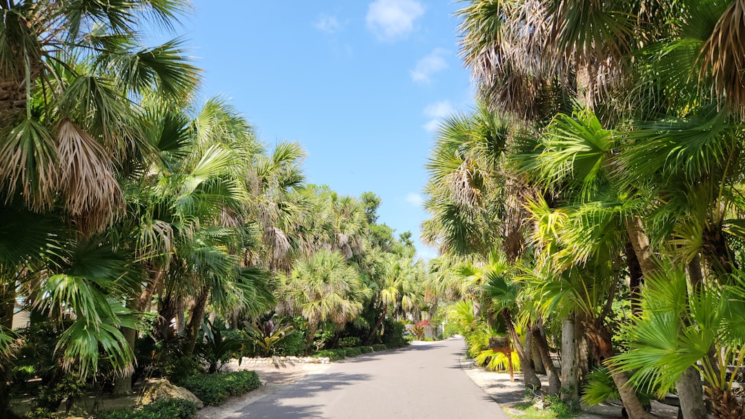 Boca Raton Before Yamato Road: A Pioneer Story