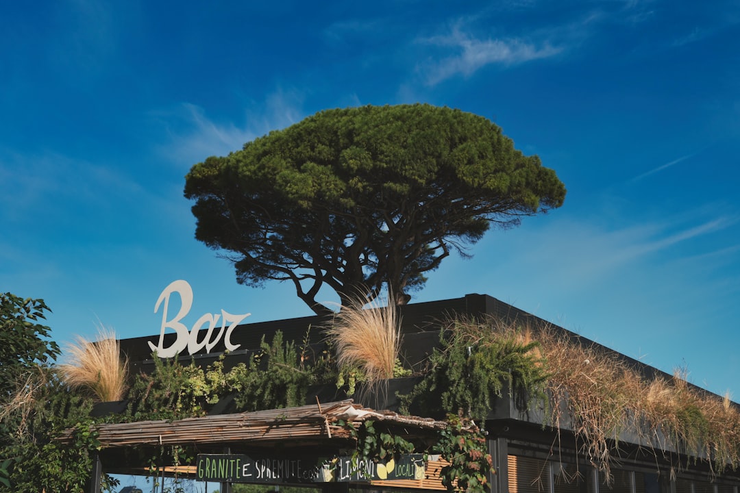 Celsius Expands in Boca Raton