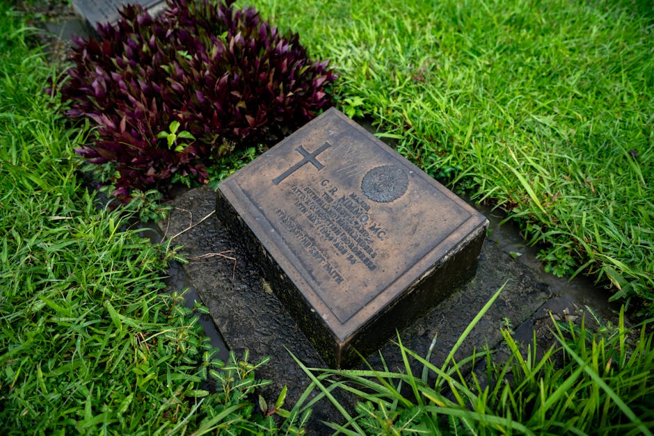 Veterans' Memorial Boca Raton – Fresh Complete Boca Raton's Heated Debate: 7 Crucial Points