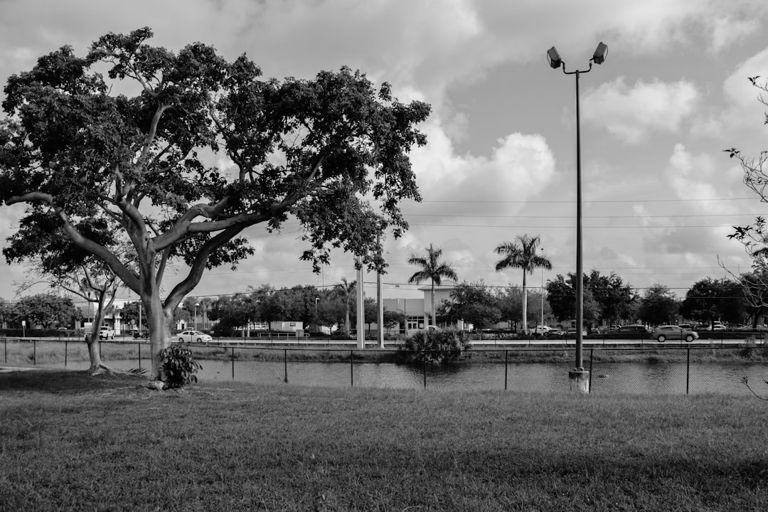 Remembering Michael Pearson: A Boca Raton Legacy