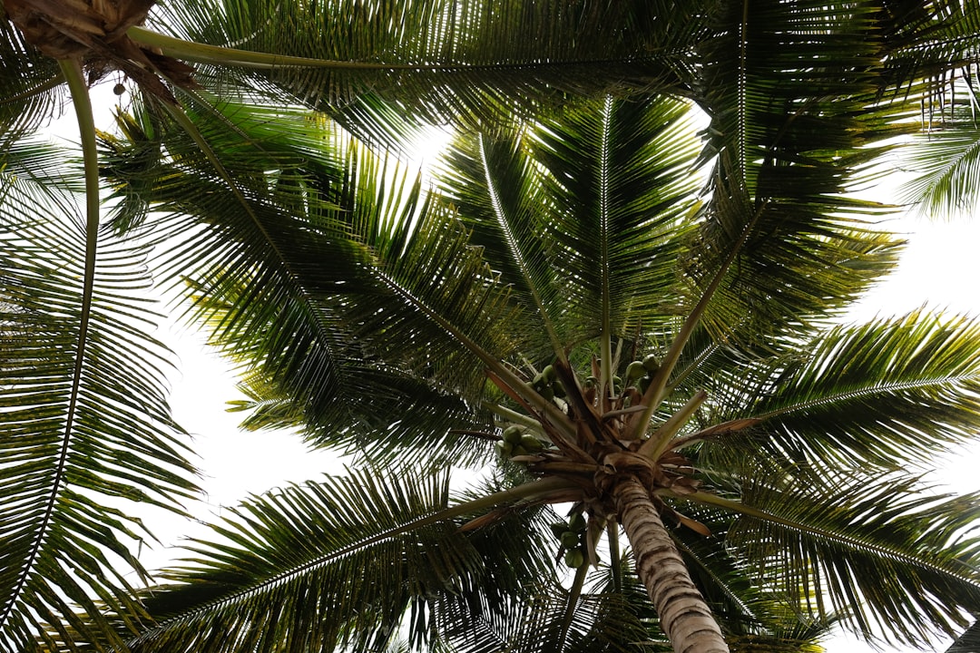 Boca Raton: Rainy Holiday Weekend Ahead