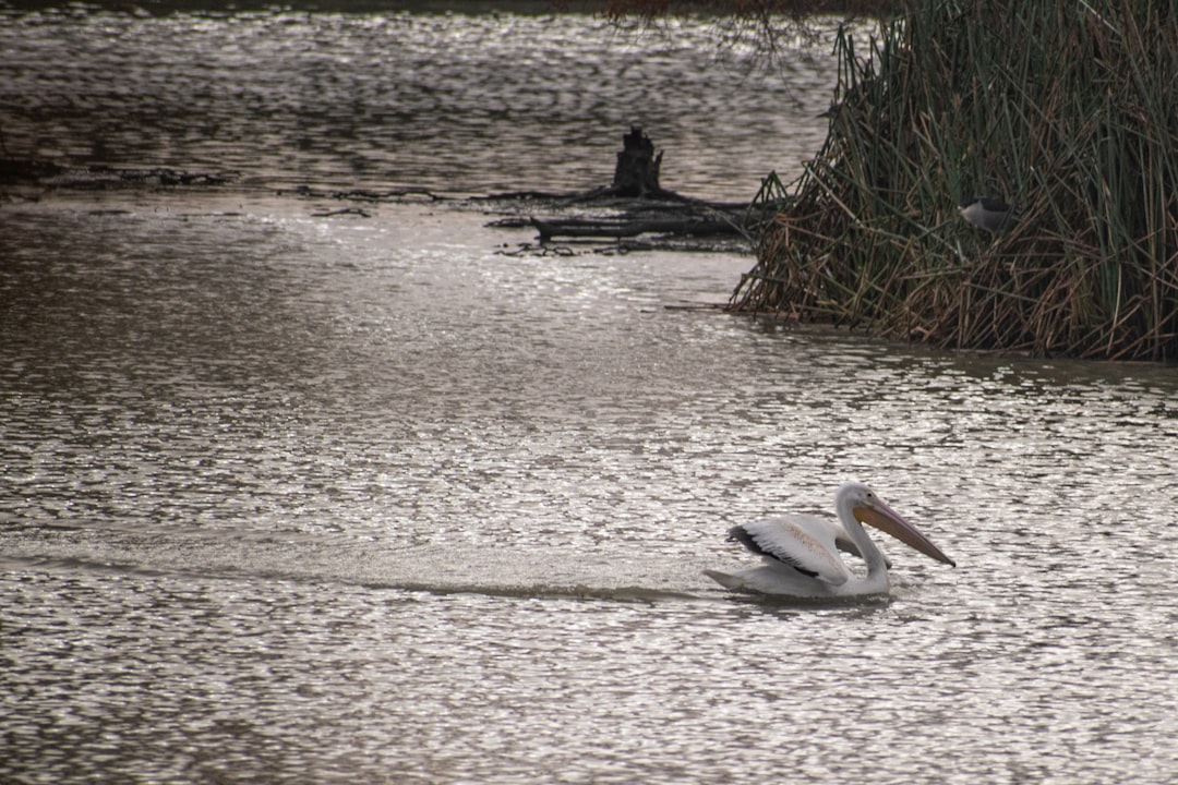 Boca Raton Flood Warning: Heavy Rain Today